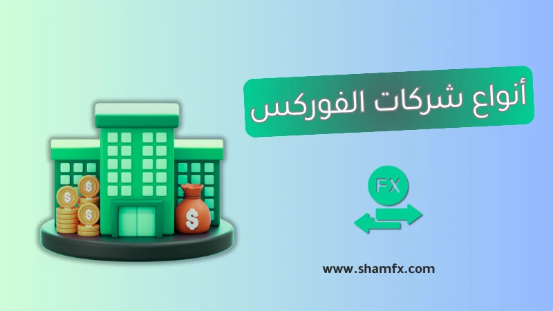 أنواع شركات الفوركس: 2025 دليلك الكامل للمبتدئين