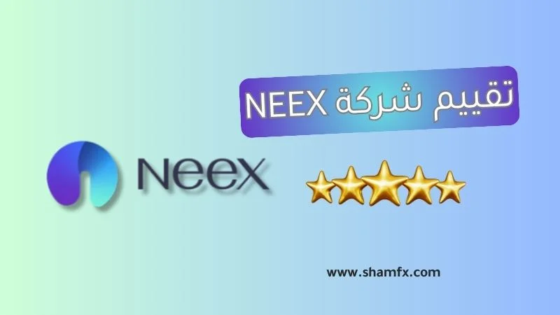 تقييم شركة Neex لعام 2024 تقييم حقيقي وشامل