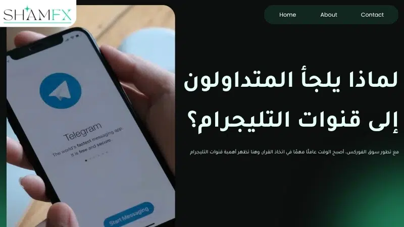 قنوات توصيات على التليجرام فوركس