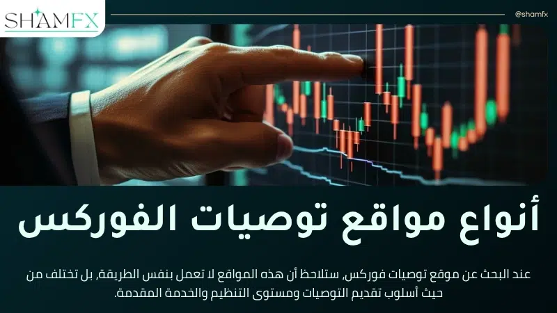 موقع توصيات فوركس