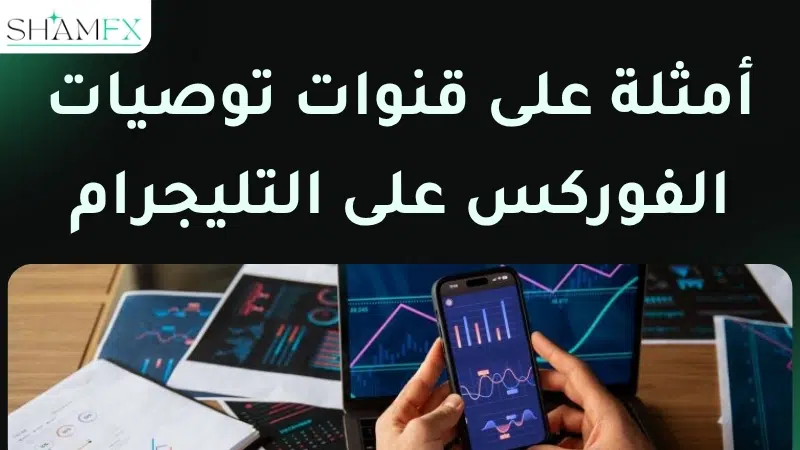قنوات توصيات على التليجرام فوركس