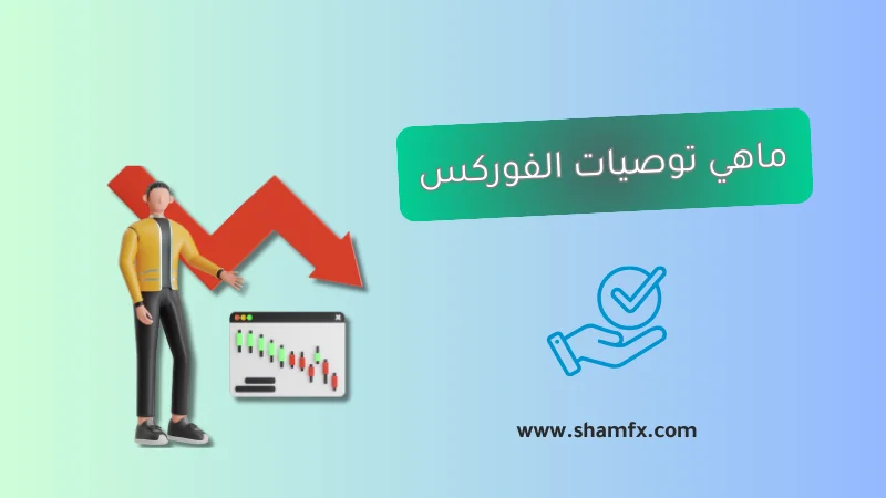 ماهي توصيات الفوركس وكيف تعمل للمبتدئين؟