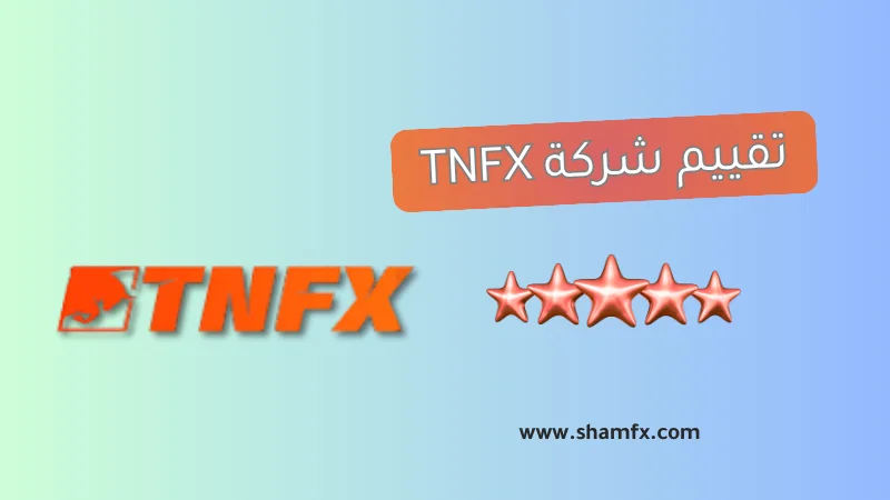 تقييم شركة tnfx لعام 2025 تقييم صادق وحقيقي