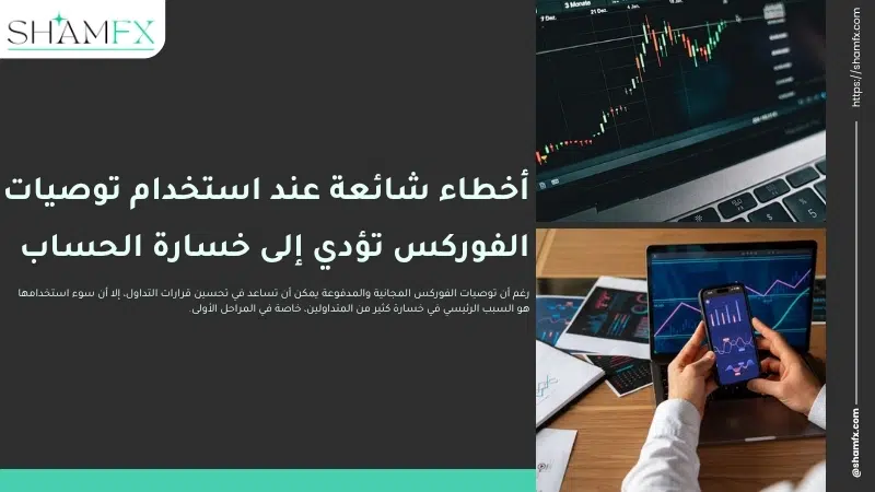 توصيات الفوركس المجانية والمدفوعة