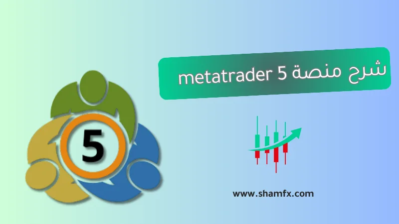 شرح منصة MT5 : الدليل الكامل لاحتراف الجيل الجديد من التداول