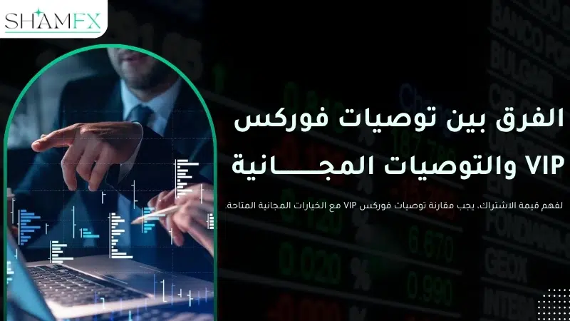 أفضل توصيات فوركس VIP: هل تستحق الاشتراك؟ وكيف تختار الأفضل في 2026 2 توصيات فوركسVIP