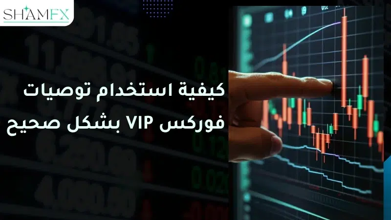 أفضل توصيات فوركس VIP: هل تستحق الاشتراك؟ وكيف تختار الأفضل في 2026 3 توصيات فوركسVIP