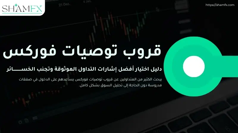 قروب توصيات فوركس