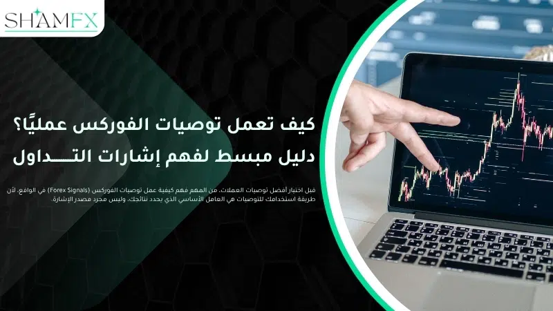 أفضل توصيات العملات