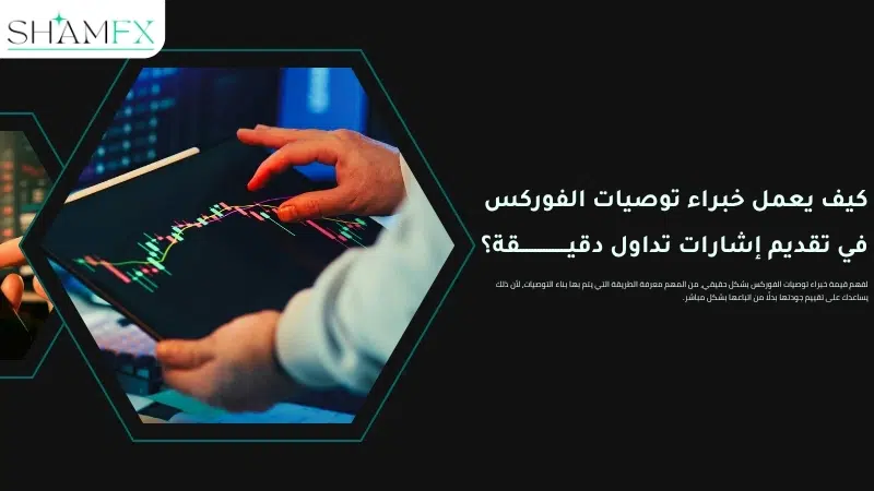 خبراء توصيات الفوركس