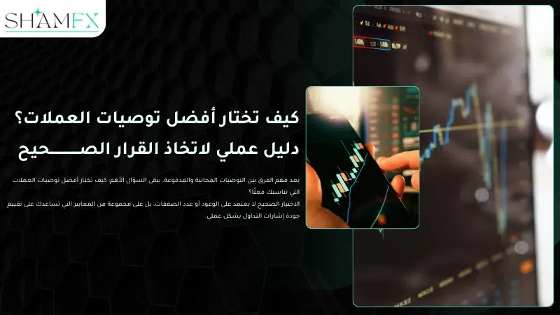 أفضل توصيات العملات