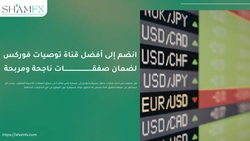 انضم إلى أفضل قناة توصيات فوركس لضمان صفقات ناجحة ومربحة