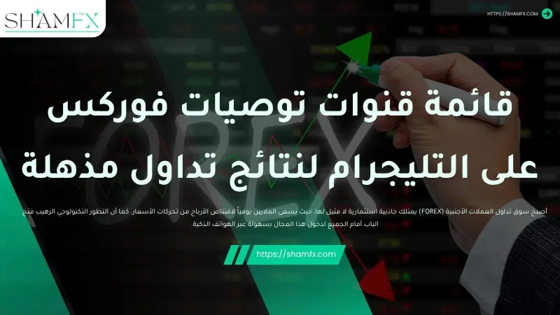 قائمة قنوات توصيات فوركس على التليجرام لنتائج تداول مذهلة