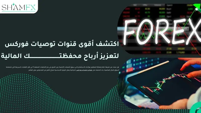 اكتشف أقوى قنوات توصيات فوركس لتعزيز أرباح محفظتك المالية