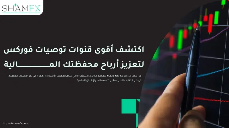 اكتشف أقوى قنوات توصيات فوركس لتعزيز أرباح محفظتك المالية