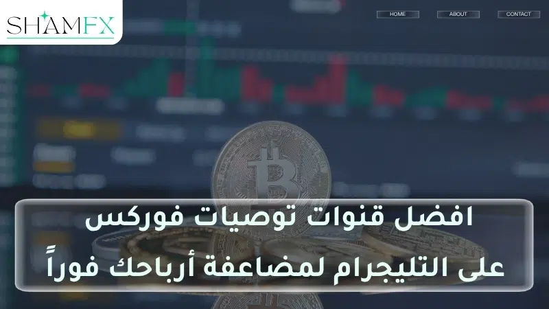 افضل قنوات توصيات فوركس على التليجرام لمضاعفة أرباحك فوراً