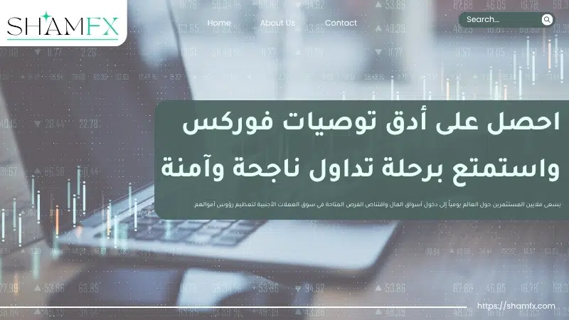 احصل على أدق توصيات فوركس واستمتع برحلة تداول ناجحة وآمنة