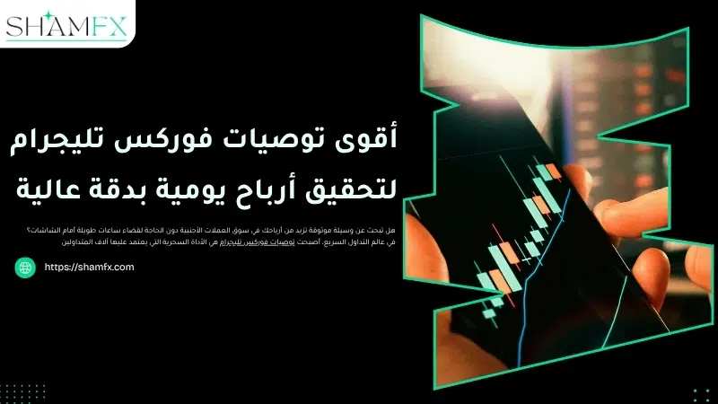 أقوى توصيات فوركس تليجرام لتحقيق أرباح يومية بدقة عالية