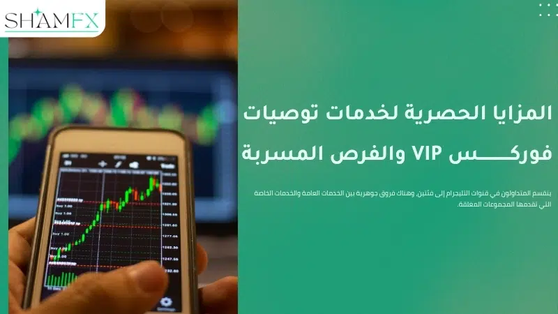 انضم إلى أفضل قناة توصيات فوركس لضمان صفقات ناجحة ومربحة 2 انضم إلى أفضل قناة توصيات فوركس لضمان صفقات ناجحة ومربحة