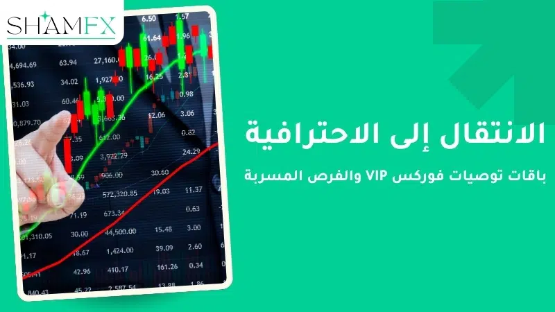 احصل على أفضل توصيات فوركس بدقة عالية من خبراء التداول الآن 2 احصل على أفضل توصيات فوركس بدقة عالية من خبراء التداول الآن