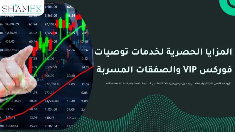 اكتشف أقوى قنوات توصيات فوركس لتعزيز أرباح محفظتك المالية