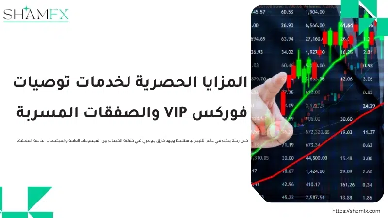 اكتشف أقوى قنوات توصيات فوركس لتعزيز أرباح محفظتك المالية 2 اكتشف أقوى قنوات توصيات فوركس لتعزيز أرباح محفظتك المالية