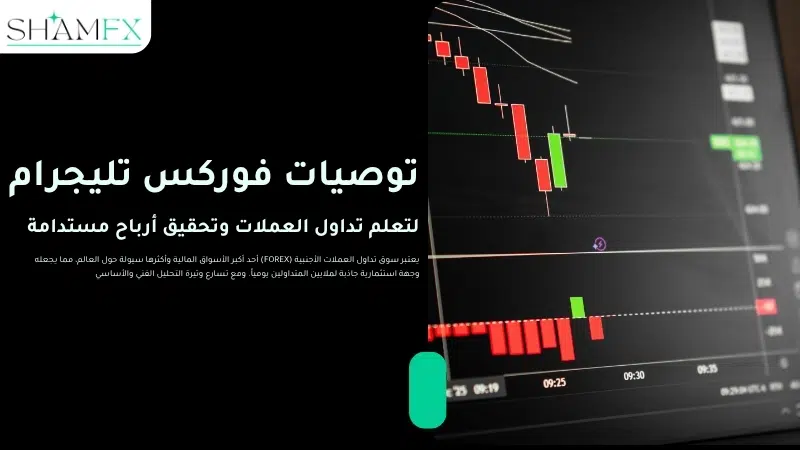 توصيات فوركس تليجرام لتعلم تداول العملات وتحقيق أرباح مستدامة